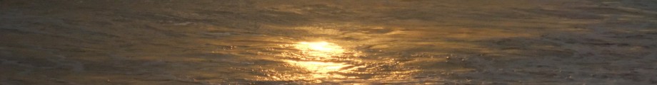 Going Global Rotating Header Image