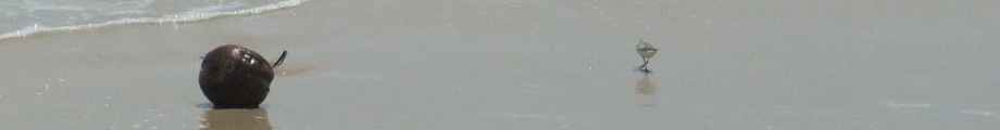 Going Global Rotating Header Image